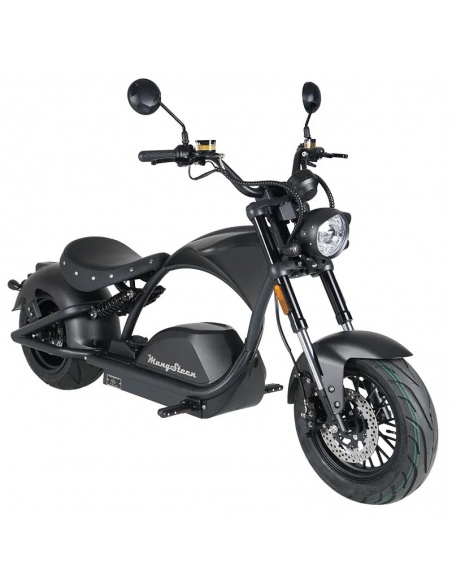 chopper-scooter-city-coco-harley-4000-watts-homologuee-route-2.jpg