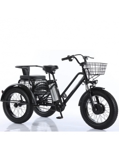 tricycle-fatbike-cross-2-places-pour-personne-a-mobilite-reduite-500-watts-1.jpg