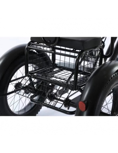 tricycle-fatbike-cross-2-places-pour-personne-a-mobilite-reduite-500-watts-13.jpg
