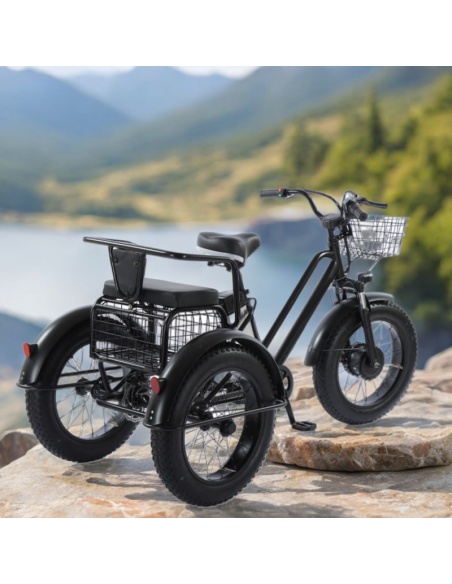 tricycle-fatbike-cross-2-places-pour-personne-a-mobilite-reduite-500-watts-15.jpg