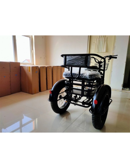 tricycle-fatbike-cross-2-places-pour-personne-a-mobilite-reduite-500-watts-17.jpg