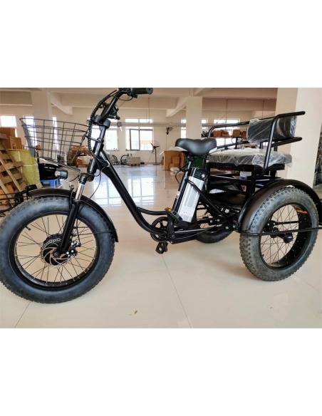 tricycle-fatbike-cross-2-places-pour-personne-a-mobilite-reduite-500-watts-18.jpg