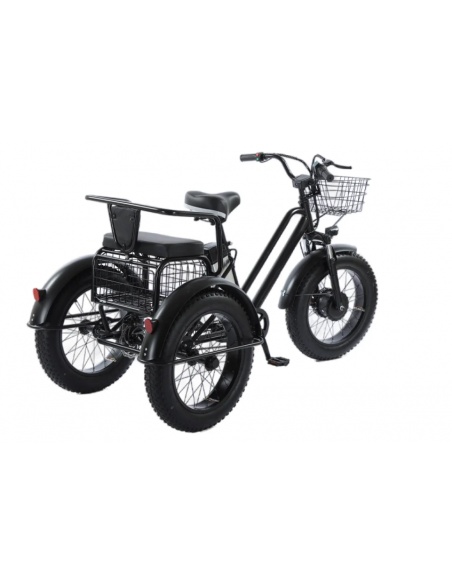 tricycle-fatbike-cross-2-places-pour-personne-a-mobilite-reduite-500-watts-2.jpg