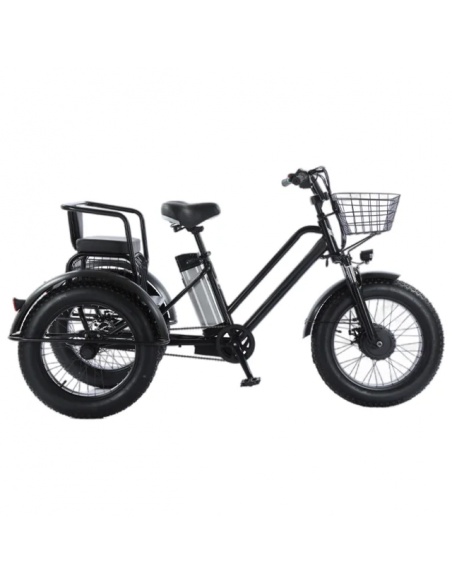 tricycle-fatbike-cross-2-places-pour-personne-a-mobilite-reduite-500-watts-3.jpg
