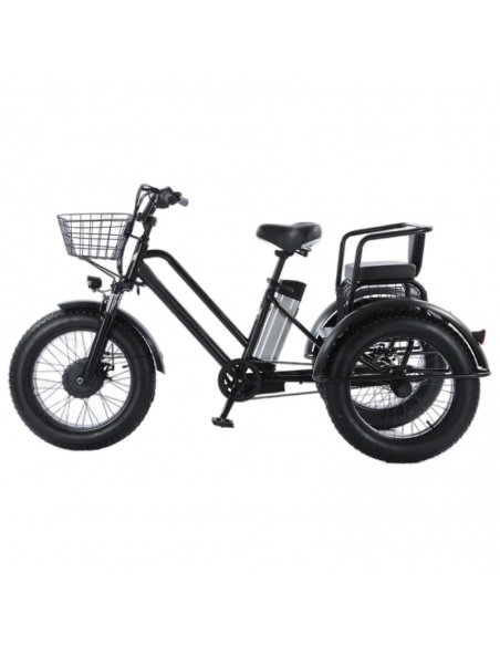 tricycle-fatbike-cross-2-places-pour-personne-a-mobilite-reduite-500-watts-4.jpg