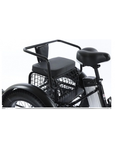 tricycle-fatbike-cross-2-places-pour-personne-a-mobilite-reduite-500-watts-7.jpg