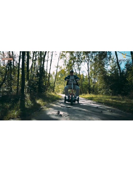 trottinette-electrique-3-roues-stable-pour-senior-et-handicape-zt16-veleco-750-watts-15.jpg