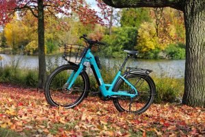 image_2026-03-21_154140603